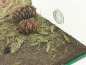 Preview: conifer/needle - small - 20g
